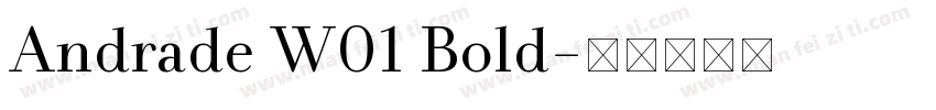 Andrade W01 Bold字体转换